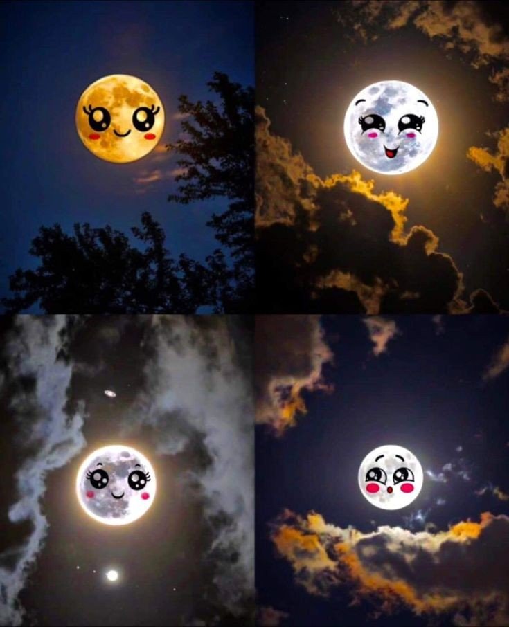 romantic couple profile picture