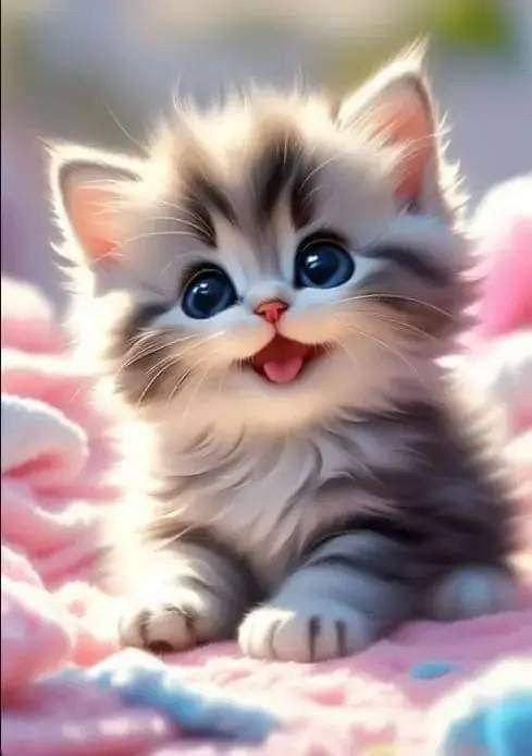 cute kitten photos